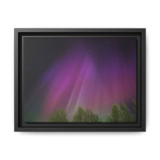 Quesnel BC northern lights Matte Canvas,