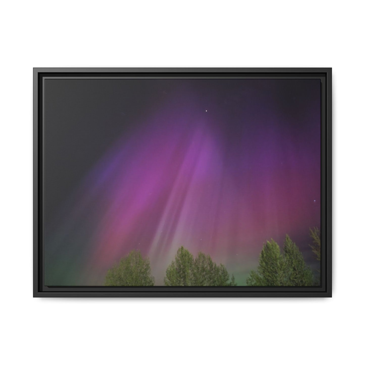 Quesnel BC northern lights Matte Canvas,