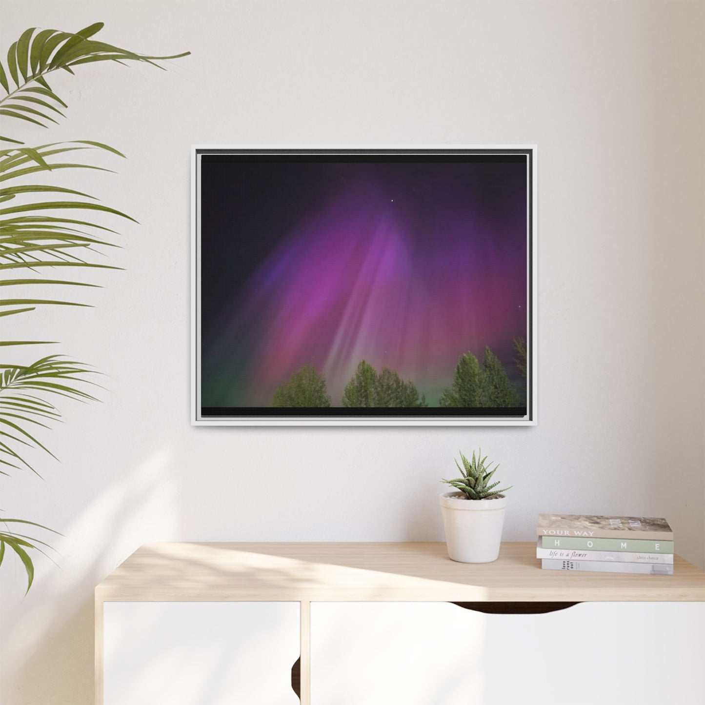 Quesnel BC northern lights Matte Canvas,