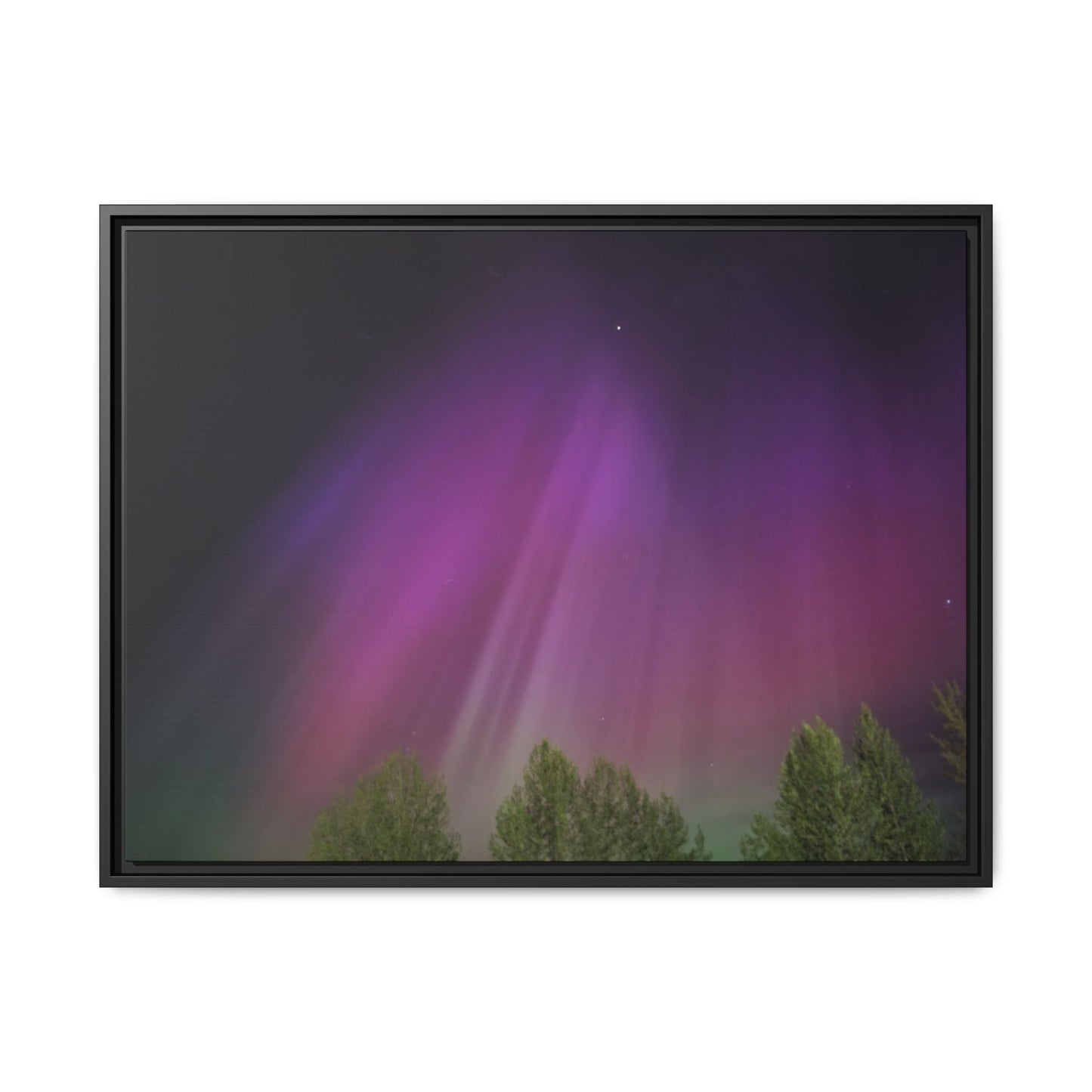 Quesnel BC northern lights Matte Canvas,