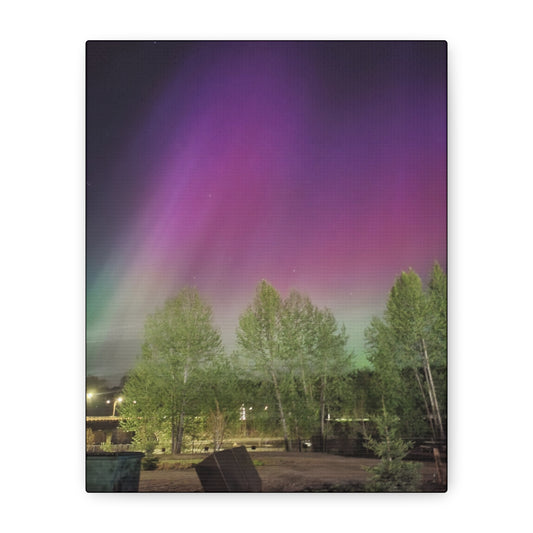 Quesnel downtown rv park BC aurora's Canvas Gallery Wraps