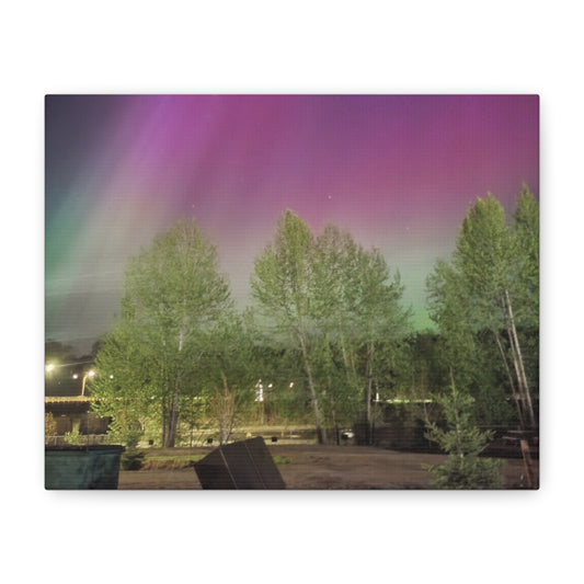 Quesnel BC northern lights 2 Matte Canvas