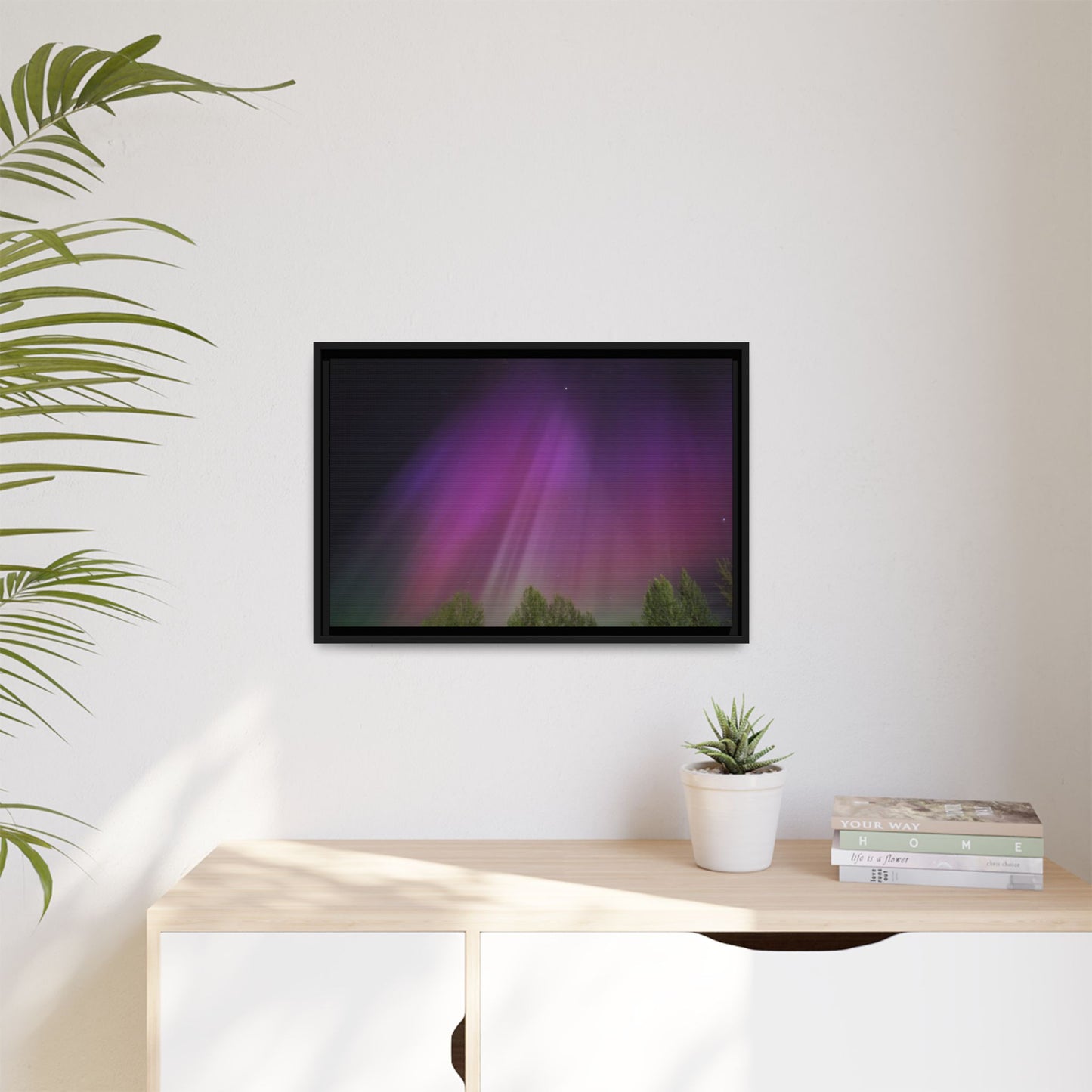 Quesnel BC northern lights Matte Canvas,