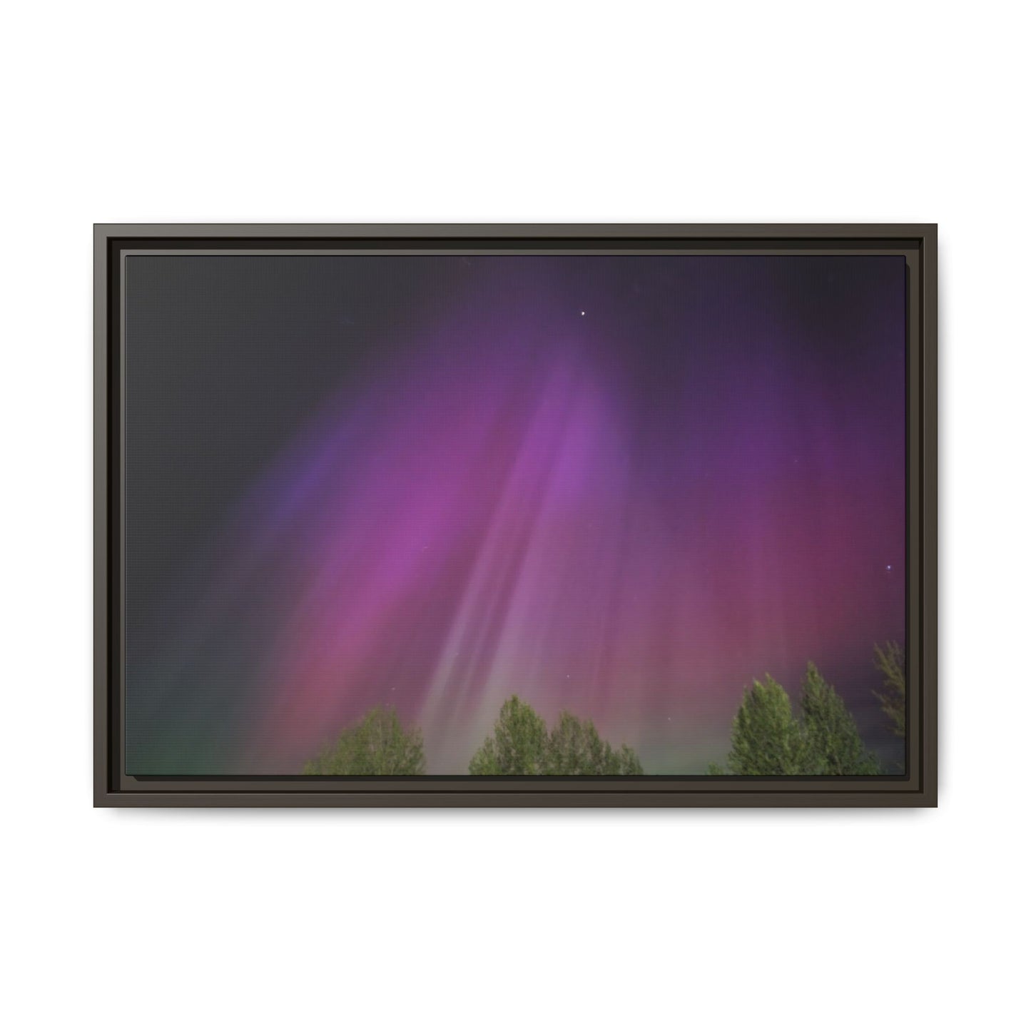 Quesnel BC northern lights Matte Canvas,
