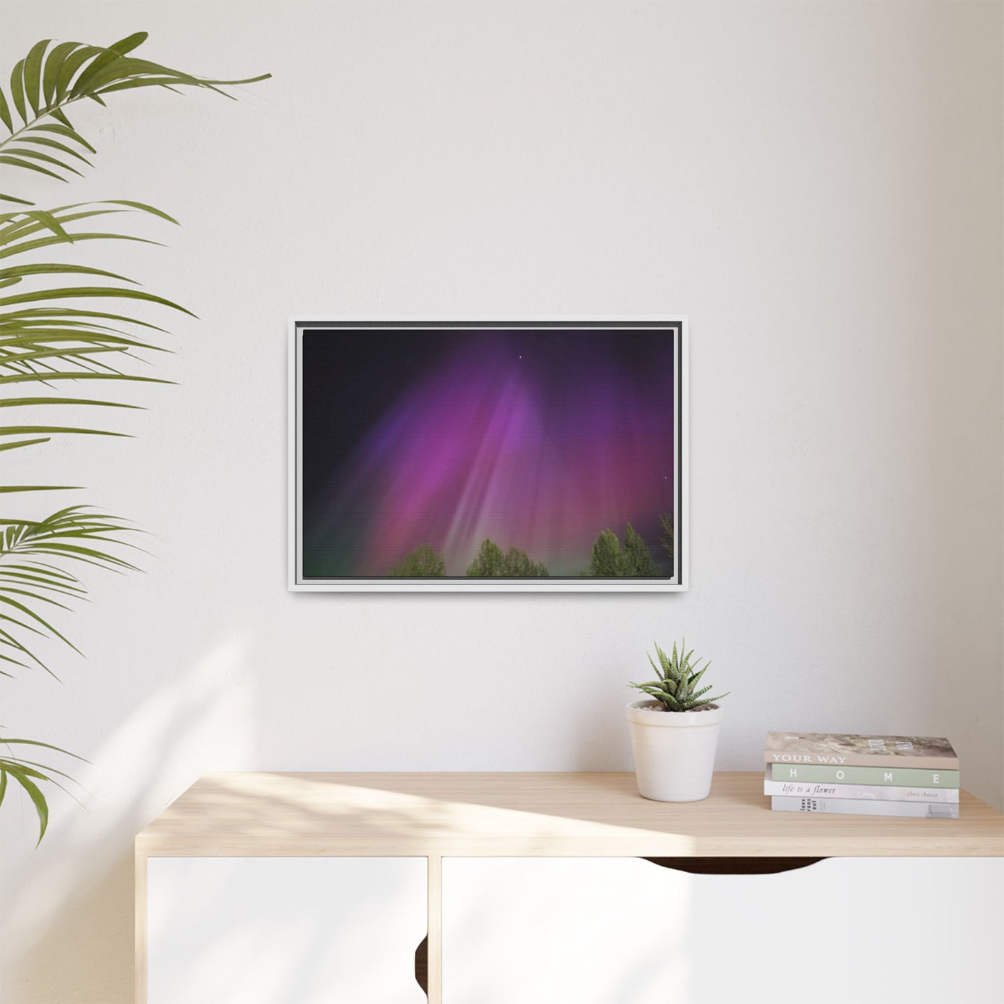 Quesnel BC northern lights Matte Canvas,
