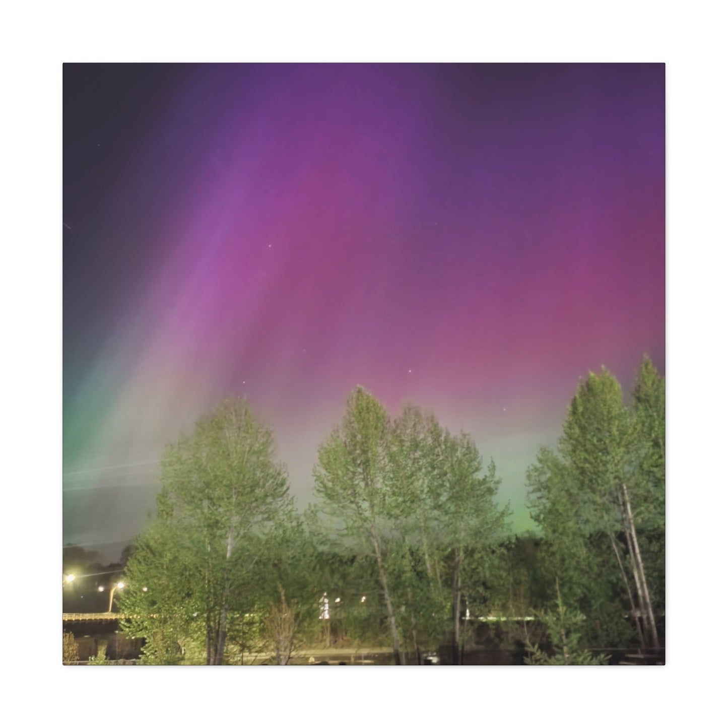 Quesnel downtown rv park BC aurora's Canvas Gallery Wraps