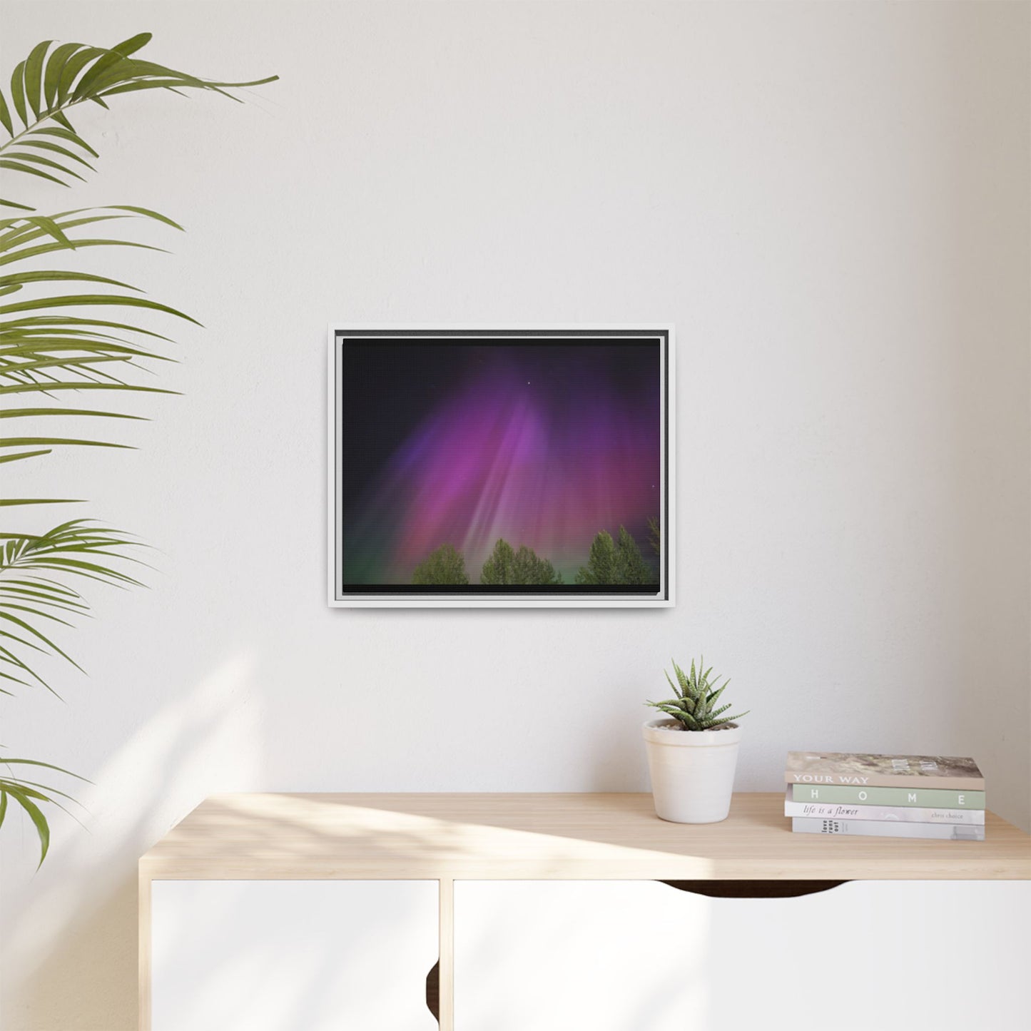 Quesnel BC northern lights Matte Canvas,