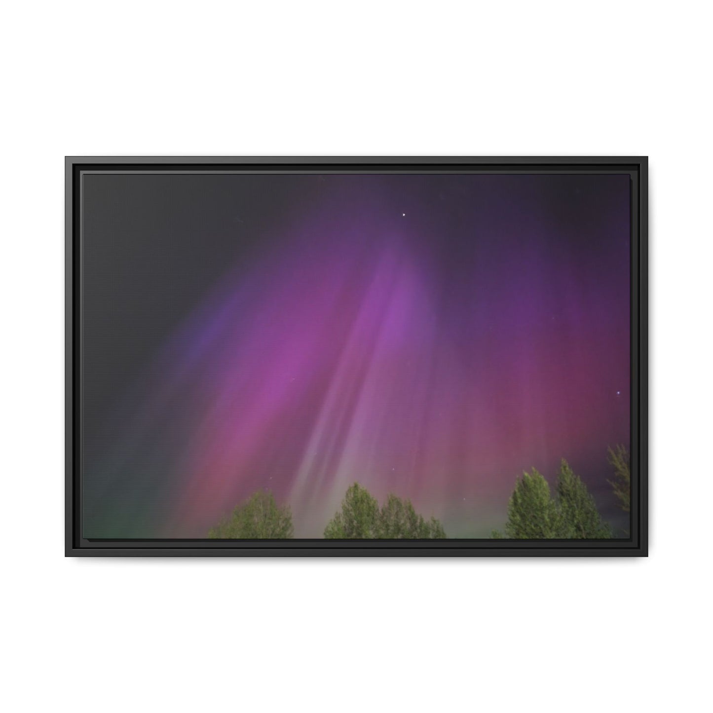 Quesnel BC northern lights Matte Canvas,