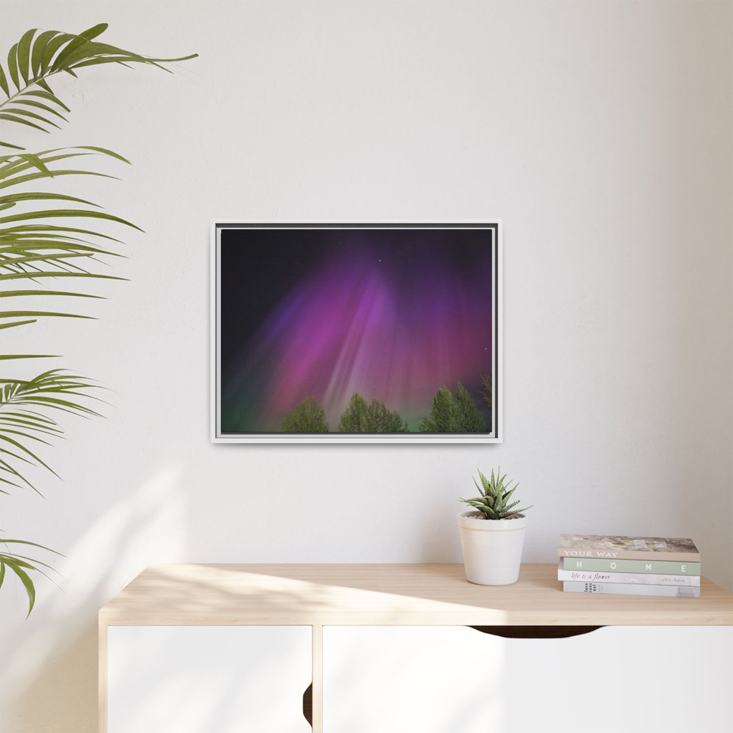 Quesnel BC northern lights Matte Canvas,