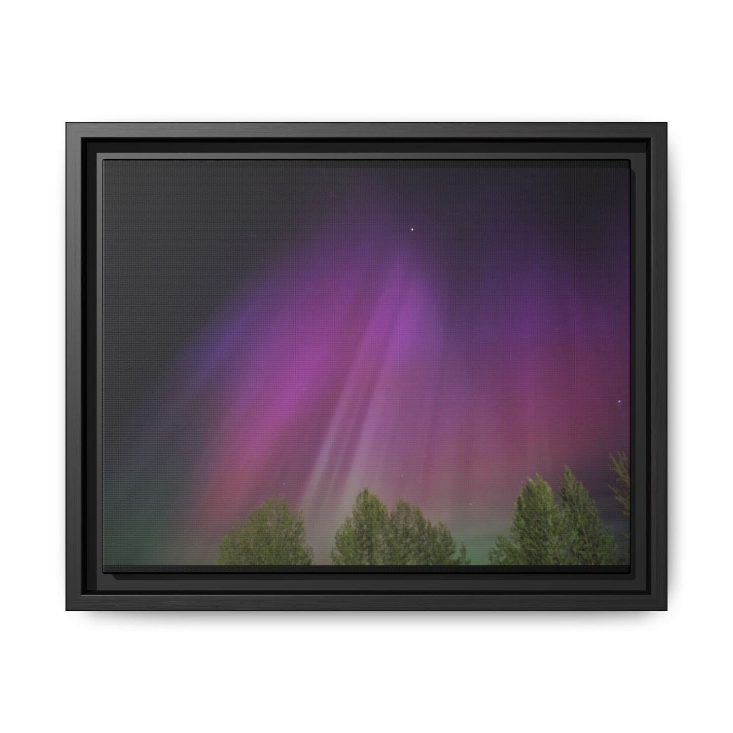 Quesnel BC northern lights Matte Canvas,