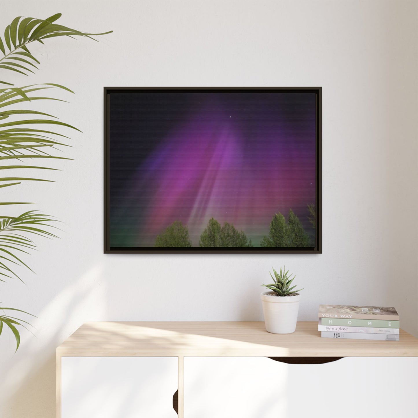 Quesnel BC northern lights Matte Canvas,