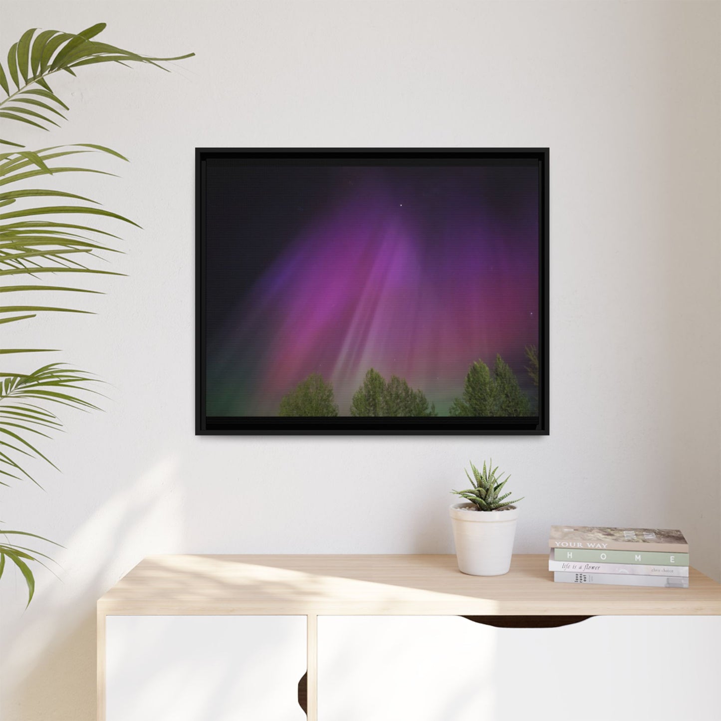 Quesnel BC northern lights Matte Canvas,