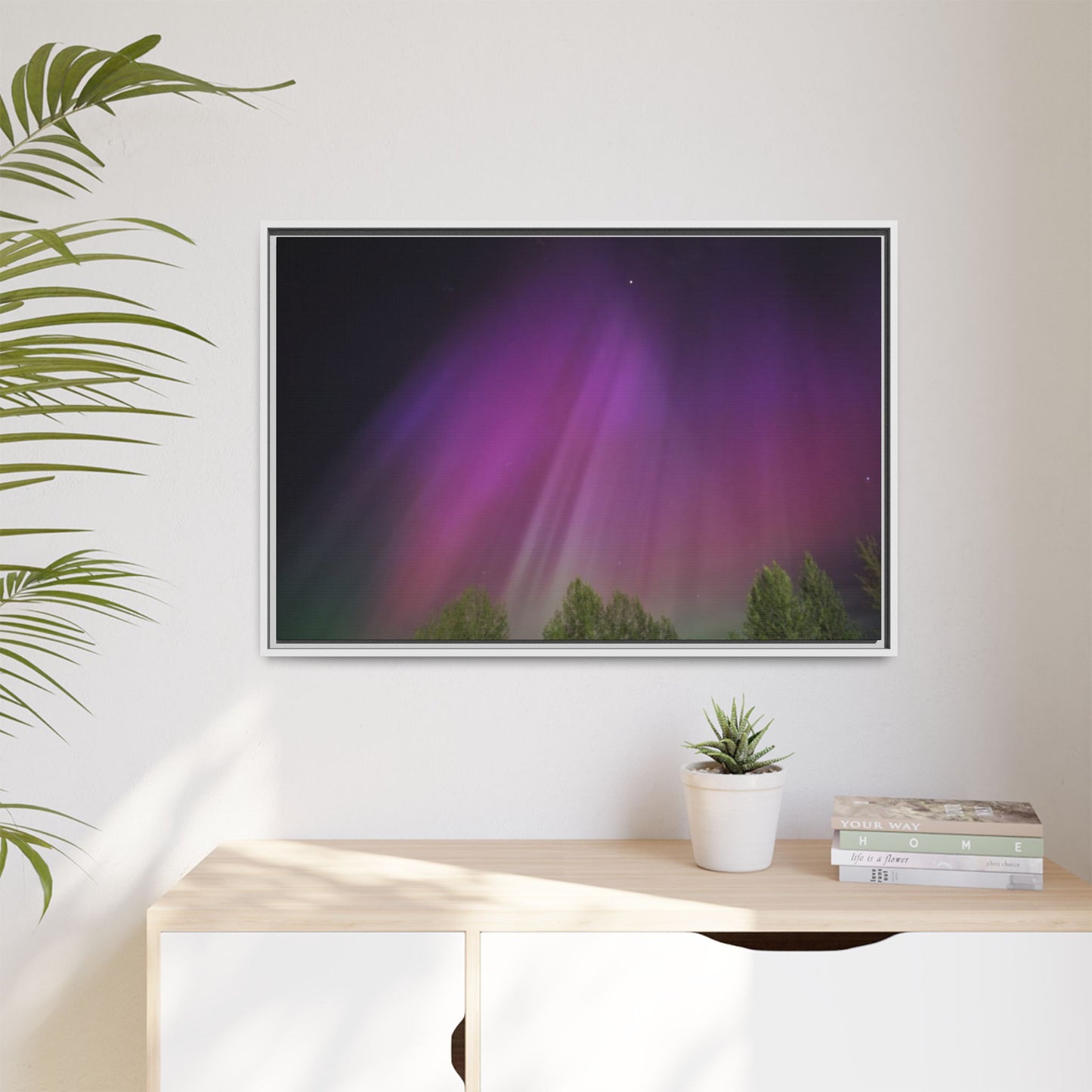 Quesnel BC northern lights Matte Canvas,