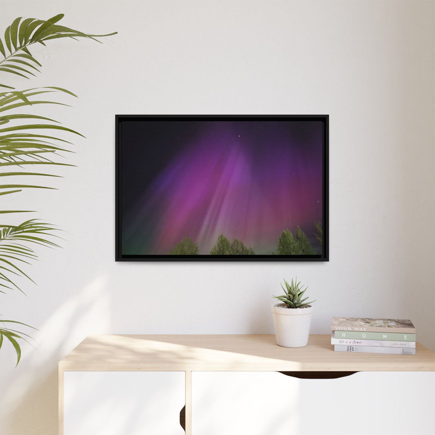 Quesnel BC northern lights Matte Canvas,