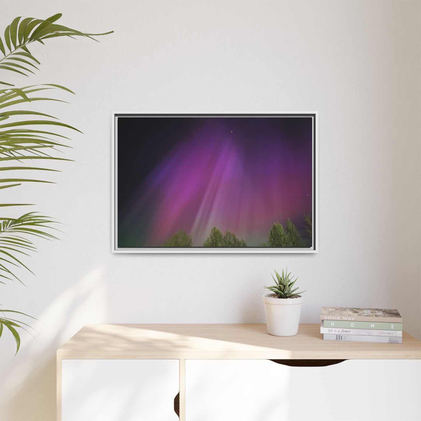Quesnel BC northern lights Matte Canvas,