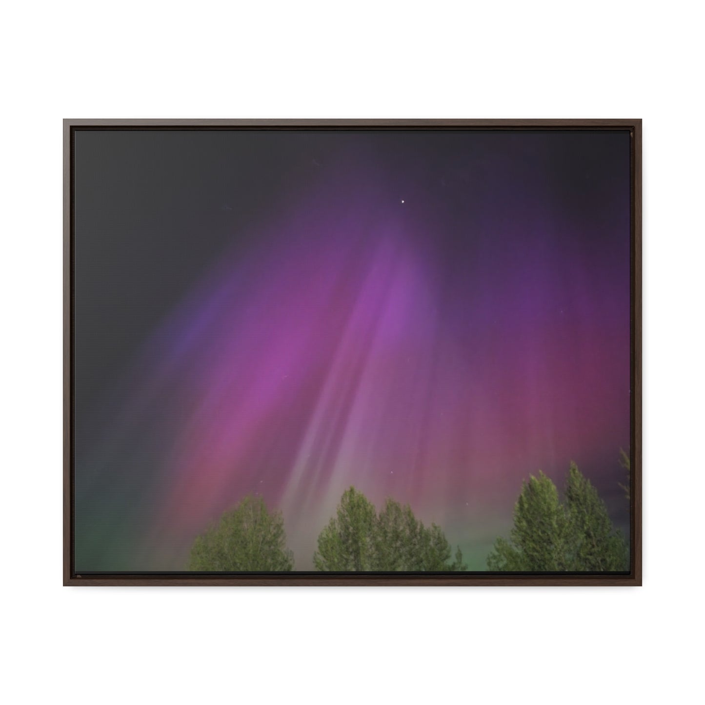 Quesnel downtown rv park BC northern lights 3 Gallery Canvas Wraps