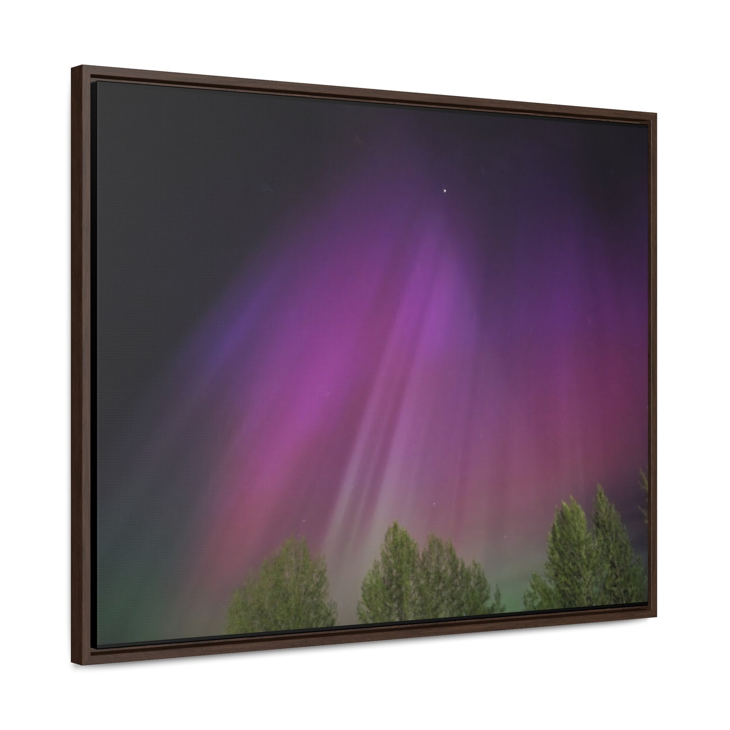 Quesnel downtown rv park BC northern lights 3 Gallery Canvas Wraps